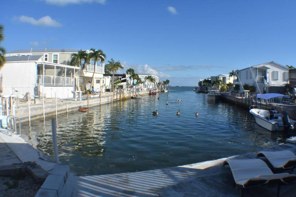 Pelican'S Roost, Waterfront Comfort At Venture Out Cudjoe Key Exterior foto